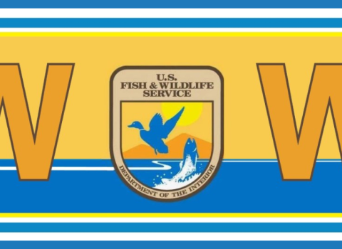 A blue background with the FWS logo centered in the middle. The logo reads WoW - but the 'o' is replaced by the USFWS logo. WoW stands for Women of Wildlife.