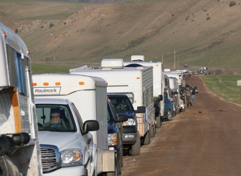 A long line of vehicles forms at National Elk Refuge on opening day of the shed antler hunt season.