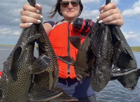Intern Nicole Prieto showing non-native sailfin catfish collected during electrofishing surveys 
