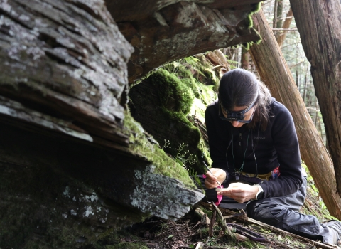 Woman sitting on the forest floor examining something in a small tray she is holding