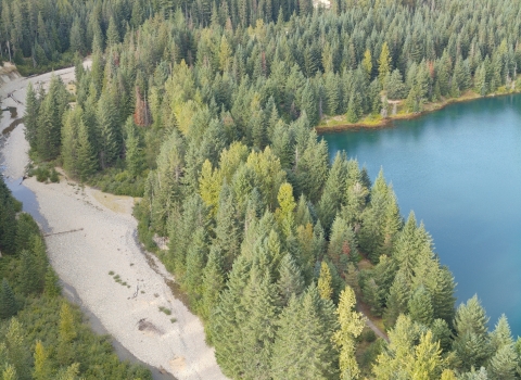 An aerial view of a dry creek on the left and a blue body of water on the right, separated by green trees.
