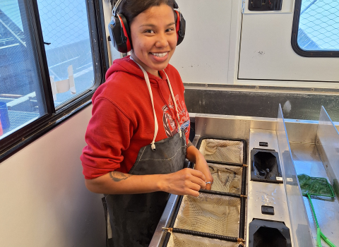 AmeriCorps intern in a fish marking trailer wearing a bib and ear protection. In front of her are four submerged net baskets, two containing juvenile coho salmon.