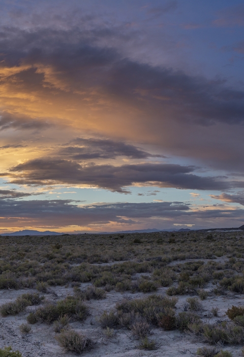 Sunset over the desert