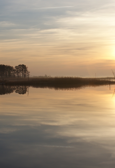 The sun goes down on a snowless but wintry-looking day and reflects against the blue-gray water of the Blackwater River in the image's foreground. On the horizon line, a stand of trees and marsh grass is visible. 