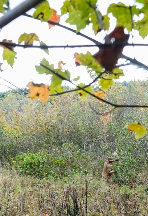 Lone person stands in a field, branch in his hand