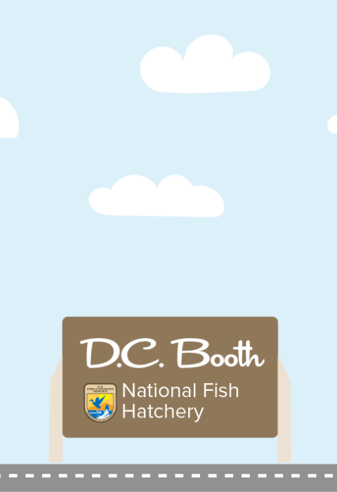 A graphic featuring a light blue sky with puffy clouds. At the bottom of the graphic, a fish drives a car along a road toward a sign that reads "Erwin National Fish Hatchery"