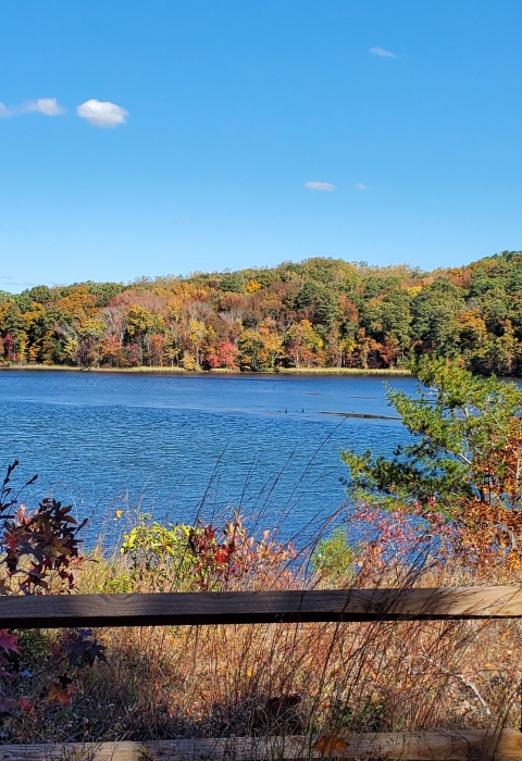 View across a waterbody lined with trees in fall foliage. A wooden fence sits in the foreground
