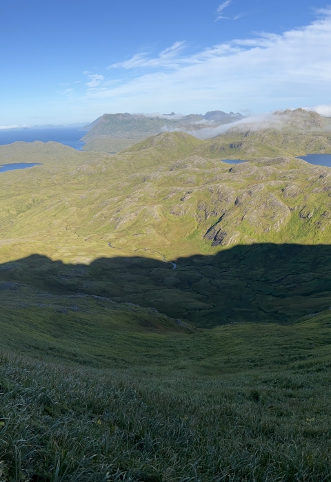 A biologist looks out on the vast Adak landscape