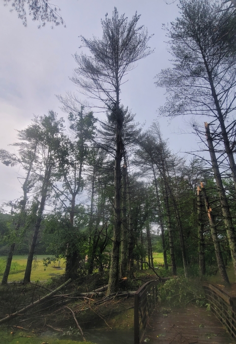 Hatchery storm damage June 2023