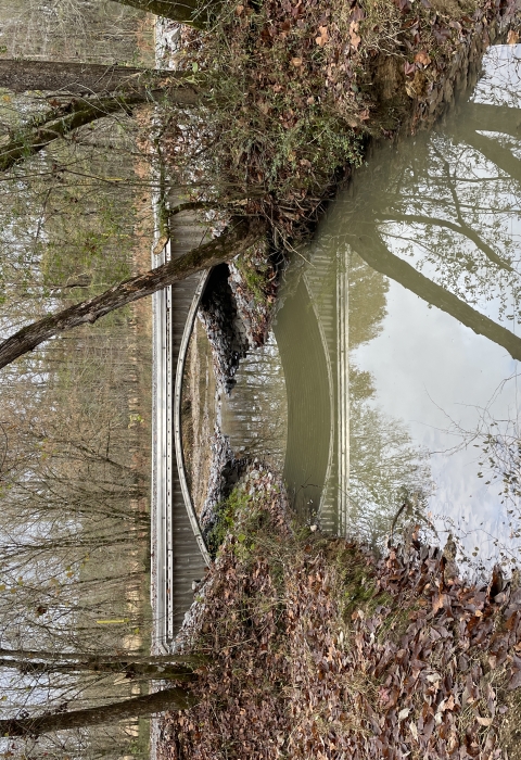 A brand new bridge over a free-flowing creek in the fall