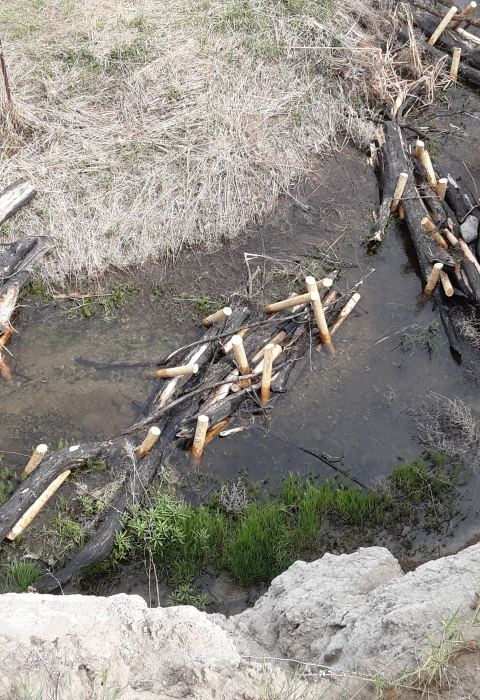 View of a stream with bundles of logs in it from above