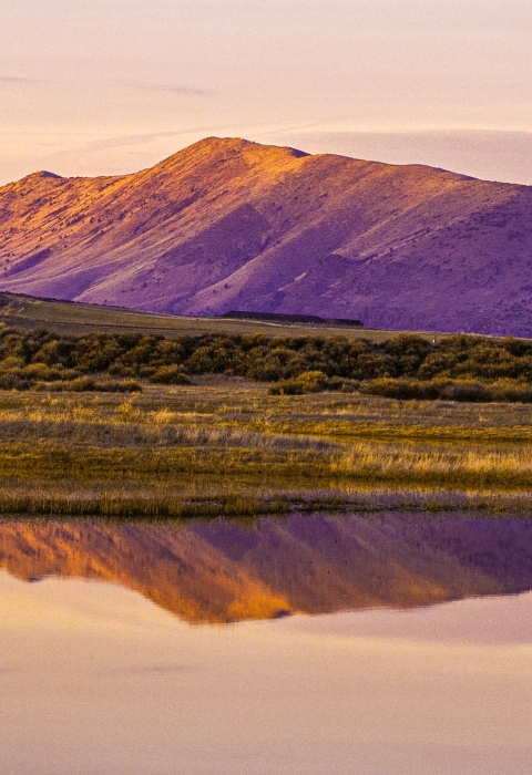 A mountain with grasslands and a wetland at Lower Klamath National Wildlife Refuge during sunset