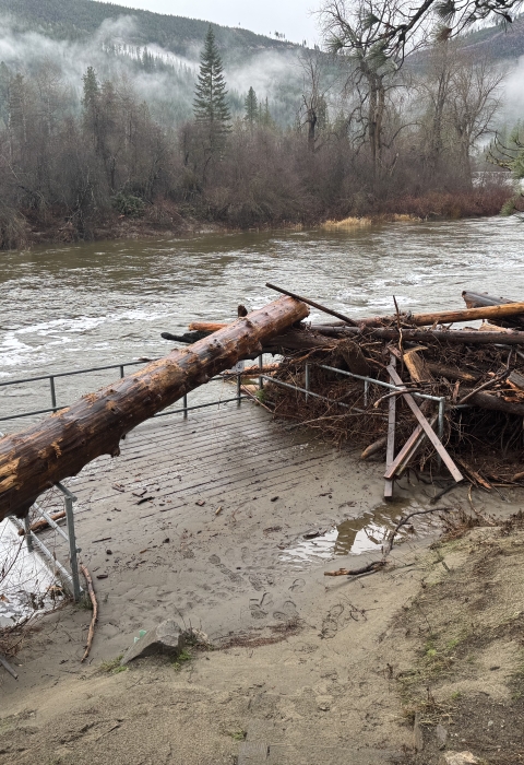 a large log lays across the metal bars of the ada fishing platform with a large pile of woody debris piled up against it and icicle creek in the background