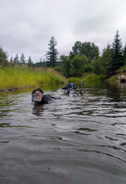 AmeriCorps Service Member snorkeling in a stream. Water in the foreground. Water, vegetation, and overcast sky in the background.