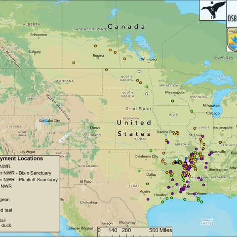Osborne Lab Band Recovery Map