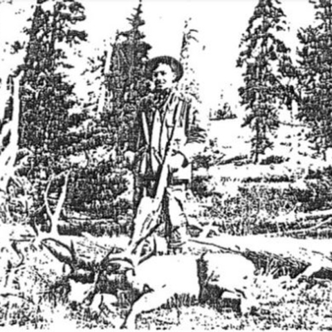 Decorative image
