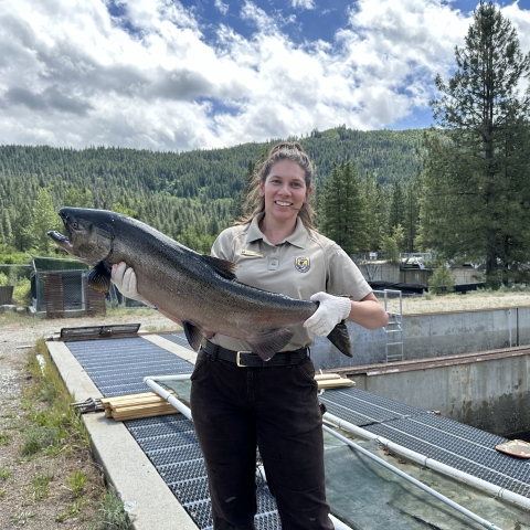 Nicole Shepherd holds a a large spring chinook