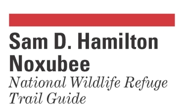 An image of the cover for the trail guide.
