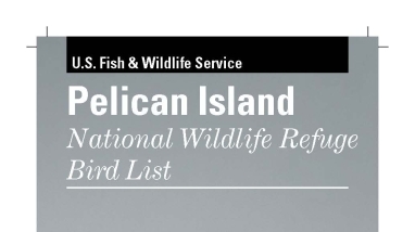 An image of the cover for the bird brochure.