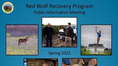 front cover of presentation