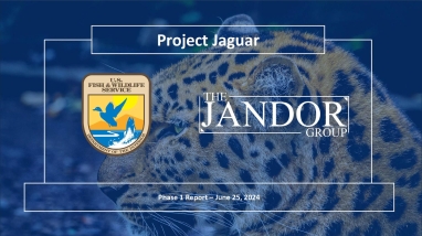 A picture of the Service's logo and a jaguar behind text that reads, "Project Jaguar, the Jandor Group, Phase 1 Report – June 25, 2024