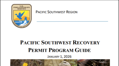 Region 8 Permitting Guide Cover Image