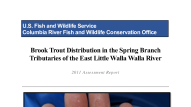 Brook Trout Distribution in the Spring Branch Tributaries of the East Little Walla Walla River 2011 Assessment Report