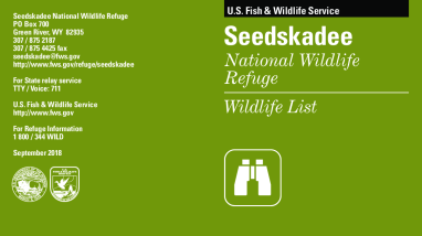 2021_Seedskadee_Wildlife List.pdf