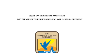 Draft EA for Weyerhaeuser Safe Harbor Agreement