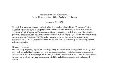 Memorandum of Understanding For the Reintroduction of Gray Wolves in Colorado