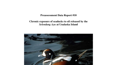 III.A.1.j Chronic exposure of seaducks to oil released by the Selendang Ayu at Unalaska Island