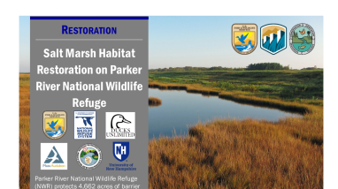 Salt Marsh Restoration Handout