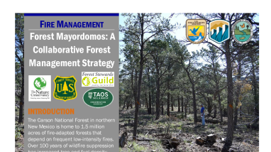 Forest Mayordomos Handout