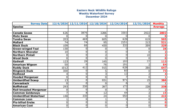 ENNWR Waterfowl Survey December 2024