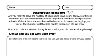 Decomposer Detective Take Home Activity in Spanish
