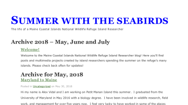 Summer with the Seabirds 2018