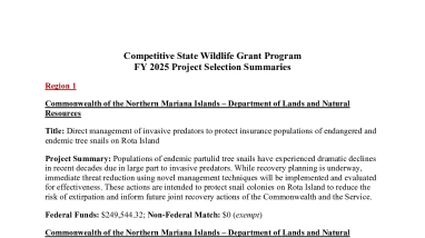 FY2025 C-SWG Summaries