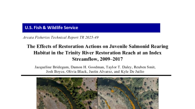 The Effects of Restoration Actions on Juvenile Salmonid Rearing Habitat in the Trinity River Restoration Reach at an Index Streamflow, 2009–2017