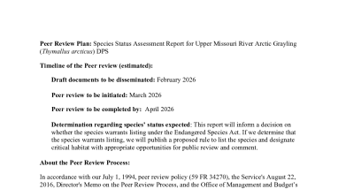 Arctic Grayling Peer Review Plan