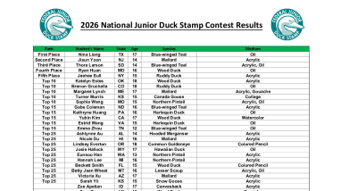 National Junior Duck Stamp Ranking 2026 Contest