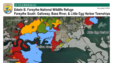 Galloway, Bass River, & Little Egg Harbor Townships Hunt Areas, Edwin B. Forsythe National Wildlife Refuge