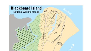 Blackbeard Island NWR Trail Map