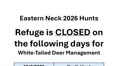 Eastern Neck 2026 Hunt Closure Dates