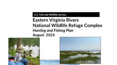 Eastern Virginia Rivers National Wildlife Refuge Complex Hunting & Fishing Plan