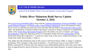 Trinity River Mainstem Redd Survey Update - October 2, 2026
