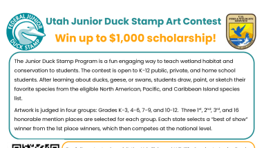 2024 Utah Junior Duck Stamp Art Contest Flyer for Students