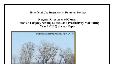Final Heron and Osprey Survey Report: Year 2 (2015)