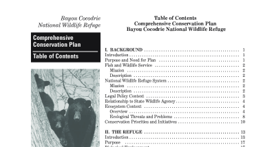 Bayou Cocodrie Comprehensive Conservation Plan