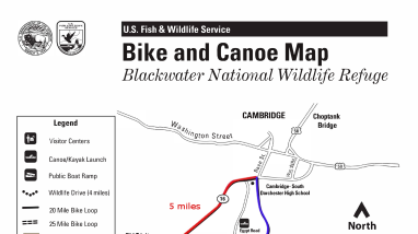 Blackwater NWR Cycling Map
