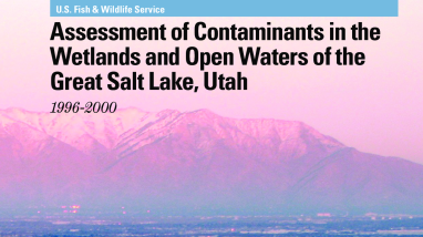 Utah-Contaminants-Wetlands-Open-Waters-Great-Salt-Lake.pdf